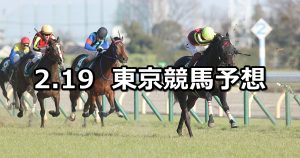【ダイヤモンドステークス】2022/2/19(土) 中央競馬 穴馬予想（東京競馬）