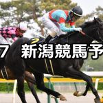 【谷川岳ステークス】2022/5/7(土) 中央競馬 穴馬予想(新潟競馬)