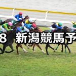 【新潟大賞典】2022/5/8(日) 中央競馬 穴馬予想(新潟競馬)