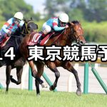 【京王杯スプリングカップ】2022/5/14(土) 中央競馬 穴馬予想(東京競馬)