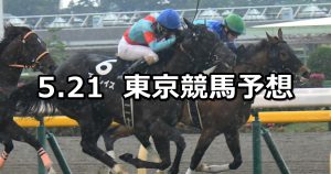 【メイステークス】2022/5/21(土) 中央競馬 穴馬予想（東京競馬）