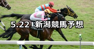 【韋駄天ステークス】2022/5/22(日) 中央競馬 穴馬予想（新潟競馬）