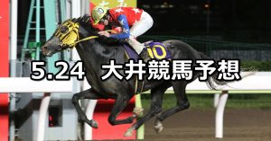 【'22メトロポリタンメイカップ】2022/5/24(火)地方競馬 穴馬予想（大井競馬）