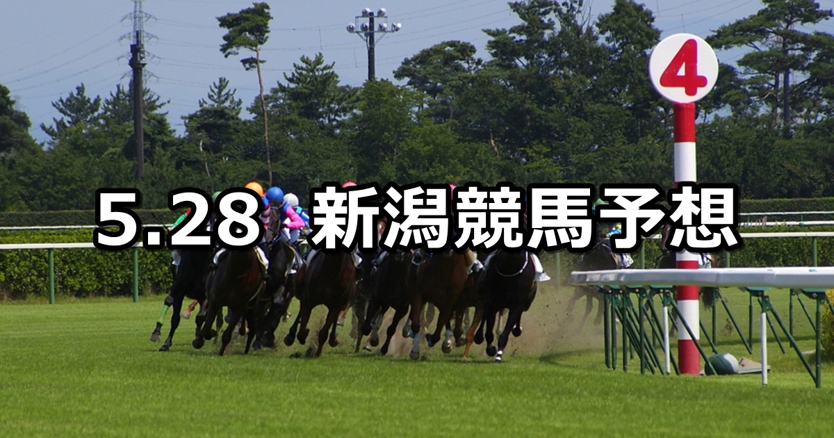 【五泉特別】2022/5/28(土) 中央競馬 穴馬予想（新潟競馬）