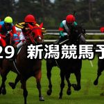 【清津峡特別】2022/5/29(日) 中央競馬 穴馬予想(新潟競馬)