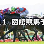 【函館日刊スポーツ杯】2022/6/11(土) 中央競馬 穴馬予想(函館競馬)