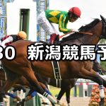 【関越ステークス】2022/7/30(土) 中央競馬 穴馬予想(新潟競馬)