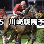 【川崎競輪けいりんバケーションCUP記念】2022/8/5(金)地方競馬 穴馬予想(川崎競馬)