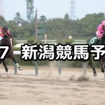 【レパードステークス】2022/8/7(日) 中央競馬 穴馬予想(新潟競馬)