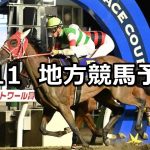 【ブリーダーズゴールドカップ/トワイライトカップ】2022/8/11(木)地方競馬 穴馬予想(門別/浦和競馬)