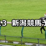 【稲妻ステークス】2022/8/13(土) 中央競馬 穴馬予想(新潟競馬)
