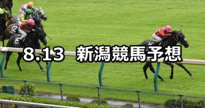 【稲妻ステークス】2022/8/13(土) 中央競馬 穴馬予想(新潟競馬)