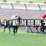 【関屋記念】2022/8/14(日) 中央競馬 穴馬予想(新潟競馬)