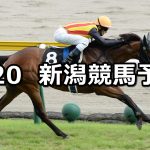 【日本海ステークス】2022/8/20(土) 中央競馬 穴馬予想（新潟競馬）