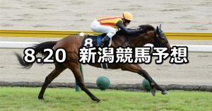 【日本海ステークス】2022/8/20(土) 中央競馬 穴馬予想（新潟競馬）