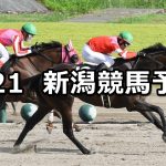 【NST賞】2022/8/21(日) 中央競馬 穴馬予想(新潟競馬)