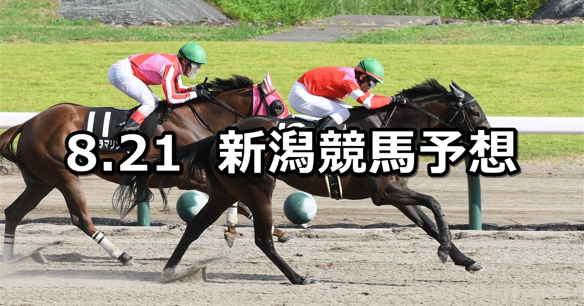 【NST賞】2022/8/21(日) 中央競馬 穴馬予想（新潟競馬）