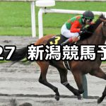 【BSN賞】2022/8/27(土) 中央競馬 穴馬予想(新潟競馬)