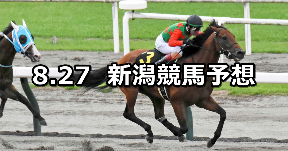 【BSN賞】2022/8/27(土) 中央競馬 穴馬予想（新潟競馬）