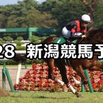 【新潟2歳ステークス】2022/8/28(日) 中央競馬 穴馬予想（新潟競馬）