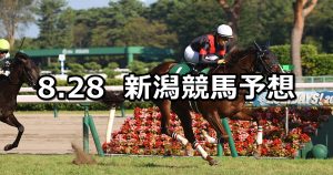 【新潟2歳ステークス】2022/8/28(日) 中央競馬 穴馬予想(新潟競馬)