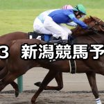 【古町ステークス】2022/9/3(土) 中央競馬 穴馬予想(新潟競馬)
