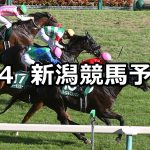 【新潟記念】2022/9/4(日) 中央競馬 穴馬予想(新潟競馬)