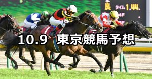 【毎日王冠】2022/10/9(日) 中央競馬 穴馬予想（東京競馬）