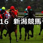 【信越ステークス】2022/10/16(日) 中央競馬 穴馬予想（新潟競馬）
