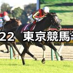 【富士ステークス】2022/10/22(土) 中央競馬 穴馬予想(東京競馬)