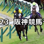 【菊花賞】2022/10/23(日) 中央競馬 穴馬予想(阪神競馬)