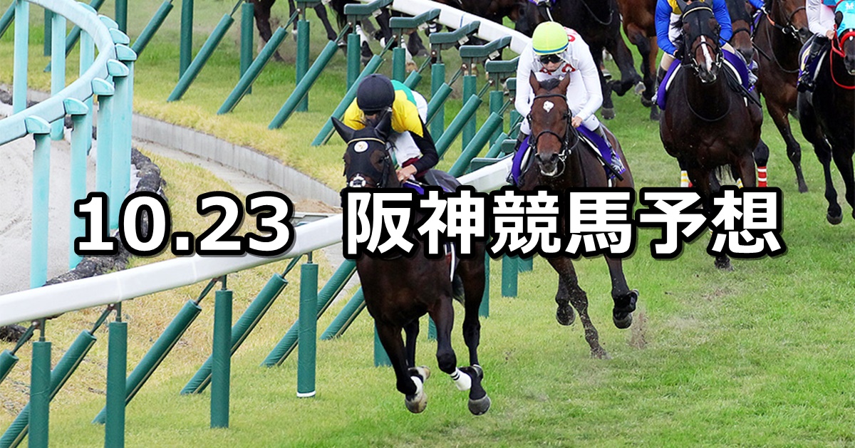 【菊花賞】2022/10/23(日) 中央競馬 穴馬予想（阪神競馬）
