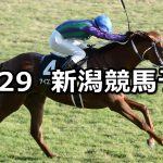 【魚沼ステークス】2022/10/29(土) 中央競馬 穴馬予想(新潟競馬)