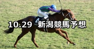 【魚沼ステークス】2022/10/29(土) 中央競馬 穴馬予想（新潟競馬）