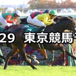 【アルテミスステークス】2022/10/29(土) 中央競馬 穴馬予想(東京競馬)