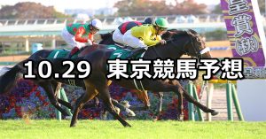 【アルテミスステークス】2022/10/29(土) 中央競馬 穴馬予想（東京競馬）