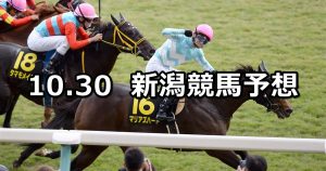 【ルミエールオータムダッシュ】2022/10/30(日) 中央競馬 穴馬予想（新潟競馬）