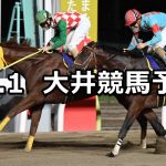 【’22スターバーストカップ】2022/11/1(火)地方競馬 穴馬予想（大井競馬）