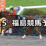 【河北新報杯】2022/11/5(土) 中央競馬 穴馬予想(福島競馬)