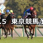 【京王杯2歳ステークス】2022/11/5(土) 中央競馬 穴馬予想(東京競馬)