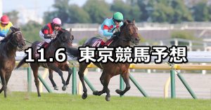【アルゼンチン共和国杯】2022/11/6(日) 中央競馬 穴馬予想（東京競馬）