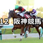 【デイリー杯2歳ステークス】2022/11/12(土) 中央競馬 穴馬予想（阪神競馬）