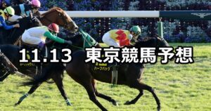 【オーロカップ】2022/11/13(日) 中央競馬 穴馬予想（東京競馬）