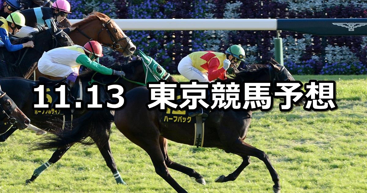 【オーロカップ】2022/11/13(日) 中央競馬 穴馬予想（東京競馬）