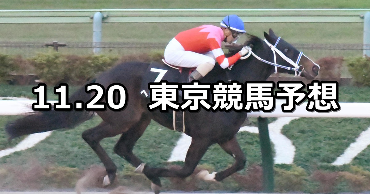 【霜月ステークス】2022/11/20(日) 中央競馬 穴馬予想（東京競馬）