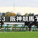 【チャレンジカップ】2022/12/3(土) 中央競馬 穴馬予想(阪神競馬)