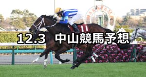 【ステイヤーズステークス】2022/12/3(土) 中央競馬 穴馬予想(中山競馬)