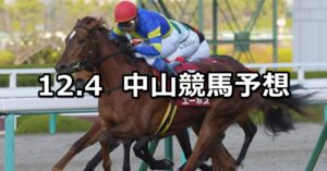 【ラピスラズリステークス】2022/12/4(日) 中央競馬 穴馬予想(中山競馬)