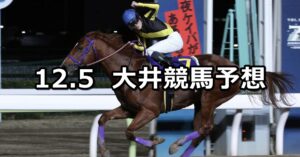 【ノースウインド賞】2022/12/5(月)地方競馬 穴馬予想（大井競馬）