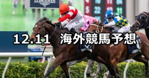 【香港国際競走】2022/12/11(日) 中央競馬 穴馬予想（香港競馬）